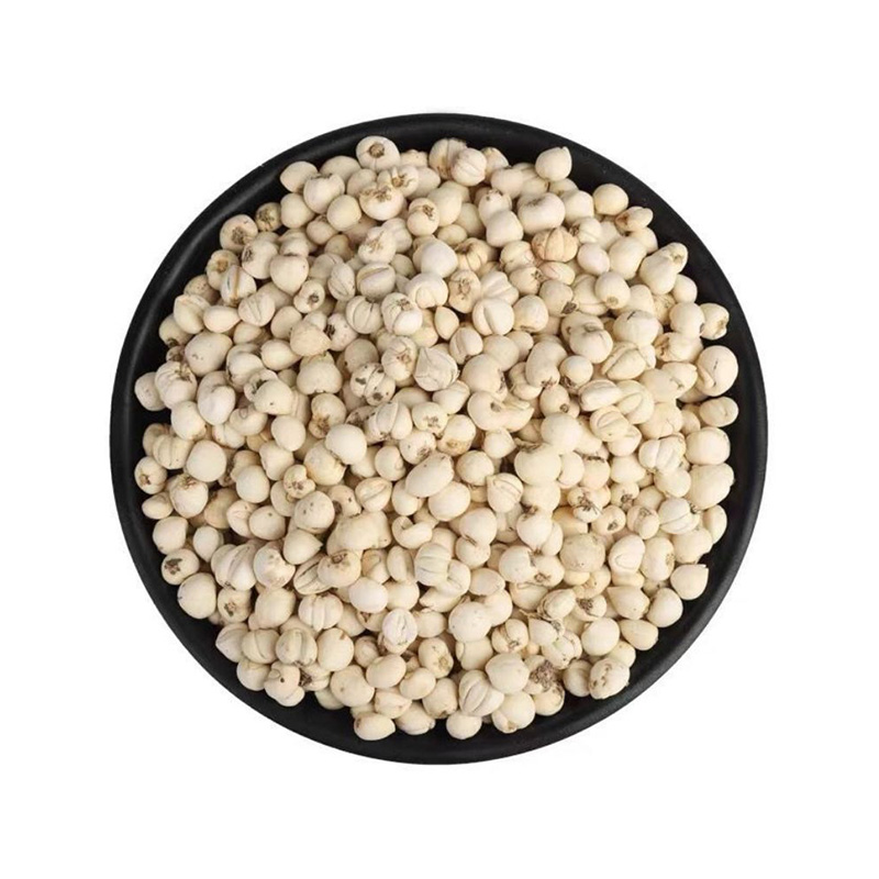 川贝松贝青贝正宗